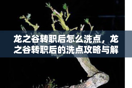 龙之谷转职后怎么洗点，龙之谷转职后的洗点攻略与解析