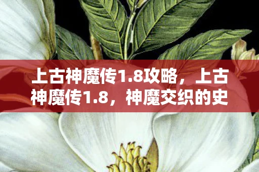 上古神魔传1.8攻略，上古神魔传1.8，神魔交织的史诗之旅