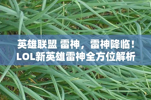 英雄联盟 雷神，雷神降临！LOL新英雄雷神全方位解析
