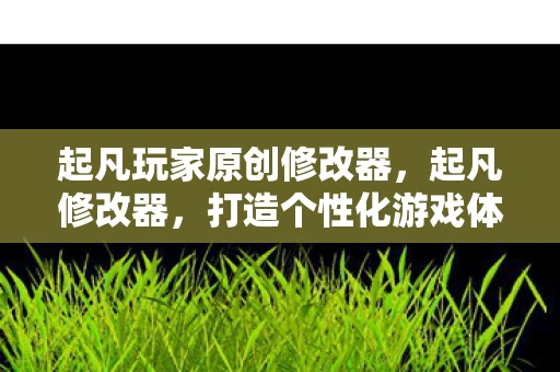 起凡玩家原创修改器,起凡修改器,打造个性化游戏体验 起凡玩家原创修改器,起凡修改器,打造个性化游戏体验