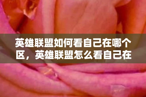 英雄联盟如何看自己在哪个区,英雄联盟怎么看自己在哪个区?全面解析你的账号归属区域 英雄联盟如何看自己在哪个区,英雄联盟怎么看自己在哪个区?全面解析你的账号归属区域