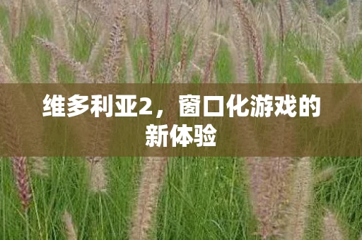 窗口化游戏的新体验图片