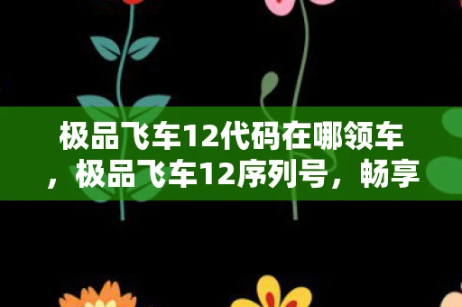 极品飞车12代码在哪领车，极品飞车12序列号，畅享飞速赛道