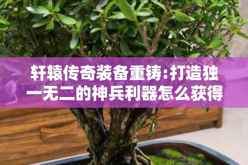 轩辕传奇装备重铸:打造独一无二的神兵利器怎么获得，轩辕传奇装备重铸，打造独一无二的神兵利器