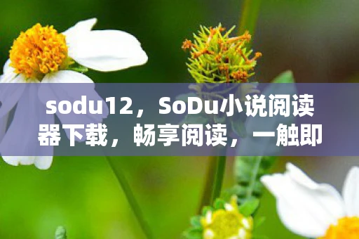 sodu12,SoDu小说阅读器下载,畅享阅读,一触即达—SoDu小说阅读器下载v1.0极速下载通道 sodu12,SoDu小说阅读器下载,畅享阅读,一触即达—SoDu小说阅读器下载v1.0极速下载通道