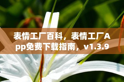 表情工厂百科，表情工厂App免费下载指南，v1.3.9稳定版下载攻略