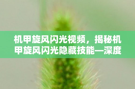 机甲旋风闪光视频,揭秘机甲旋风闪光隐藏技能—深度解析与实战指南 机甲旋风闪光视频,揭秘机甲旋风闪光隐藏技能—深度解析与实战指南