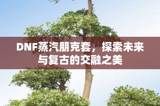 探索未来与复古的交融之美图片