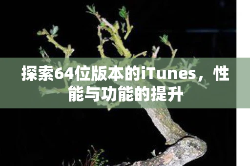 探索64位版本的iTunes,性能与功能的提升 探索64位版本的iTunes,性能与功能的提升
