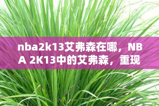 nba2k13艾弗森在哪，NBA 2K13中的艾弗森，重现经典，再现辉煌