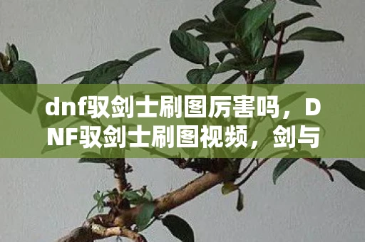 dnf驭剑士刷图厉害吗，DNF驭剑士刷图视频，剑与魔法的完美结合资讯频道