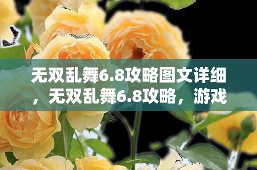 无双乱舞6.8攻略图文详细,无双乱舞6.8攻略,游戏指南与秘籍大全 无双乱舞6.8攻略图文详细,无双乱舞6.8攻略,游戏指南与秘籍大全