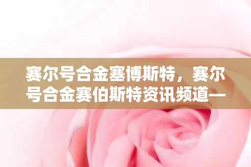 赛尔号合金塞博斯特，赛尔号合金赛伯斯特资讯频道—探索神秘力量，领略未来科技之美