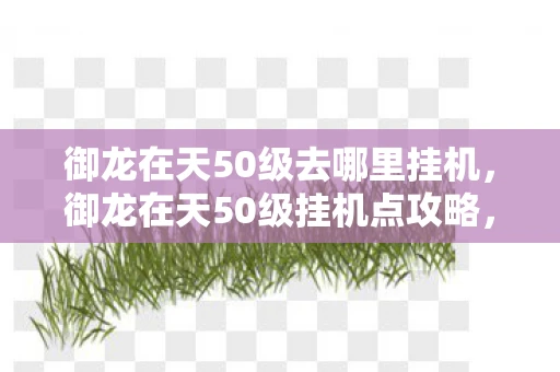 御龙在天50级去哪里挂机，御龙在天50级挂机点攻略，升级之路的高效捷径