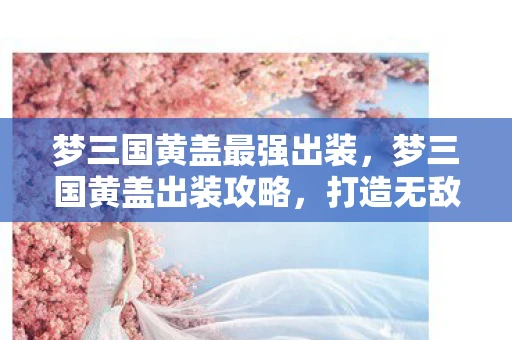 梦三国黄盖最强出装,梦三国黄盖出装攻略,打造无敌英雄形象 梦三国黄盖最强出装,梦三国黄盖出装攻略,打造无敌英雄形象