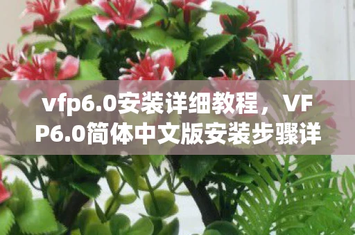 vfp6.0安装详细教程，VFP6.0简体中文版安装步骤详解