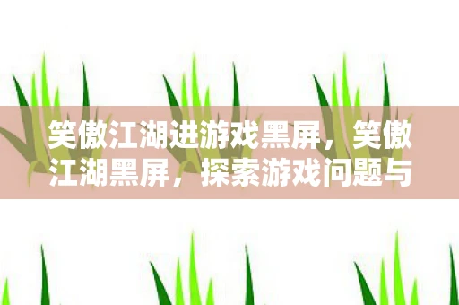 笑傲江湖进游戏黑屏，笑傲江湖黑屏，探索游戏问题与解决方案