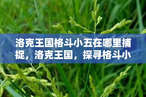 洛克王国格斗小五在哪里捕捉,洛克王国,探寻格斗小五的神秘踪迹 洛克王国格斗小五在哪里捕捉,洛克王国,探寻格斗小五的神秘踪迹