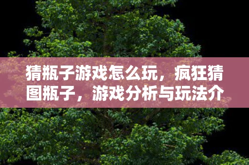 猜瓶子游戏怎么玩，疯狂猜图瓶子，游戏分析与玩法介绍