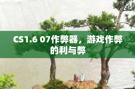 CS1.6 07作弊器,游戏作弊的利与弊 CS1.6 07作弊器,游戏作弊的利与弊