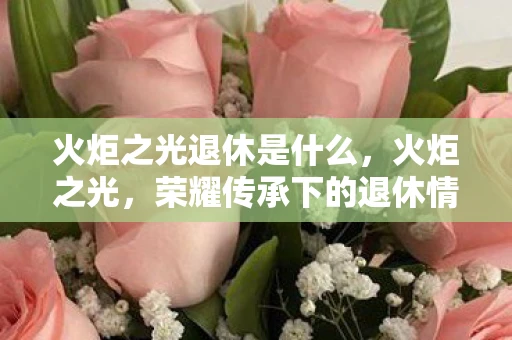 火炬之光退休是什么,火炬之光,荣耀传承下的退休情怀 火炬之光退休是什么,火炬之光,荣耀传承下的退休情怀