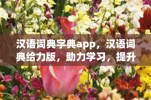 汉语词典字典app,汉语词典给力版,助力学习,提升汉语水平 汉语词典字典app,汉语词典给力版,助力学习,提升汉语水平