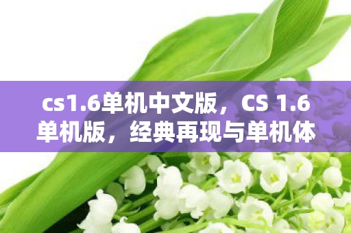 cs1.6单机中文版，CS 1.6单机版，经典再现与单机体验