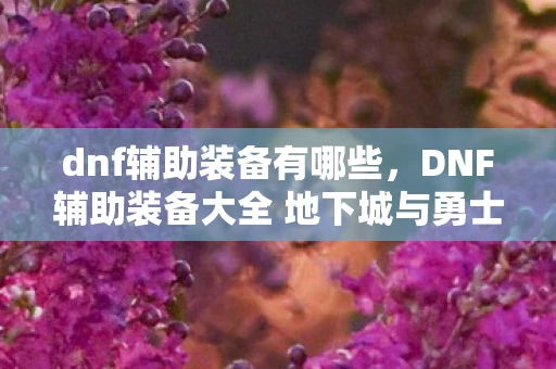 dnf辅助装备有哪些,DNF辅助装备大全 地下城与勇士辅助装备的深度解析与实战应用 dnf辅助装备有哪些,DNF辅助装备大全 地下城与勇士辅助装备的深度解析与实战应用
