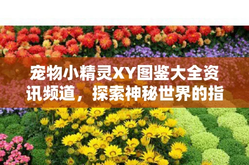 宠物小精灵XY图鉴大全资讯频道图片