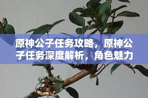 原神公子任务攻略,原神公子任务深度解析,角色魅力与剧情发展 原神公子任务攻略,原神公子任务深度解析,角色魅力与剧情发展