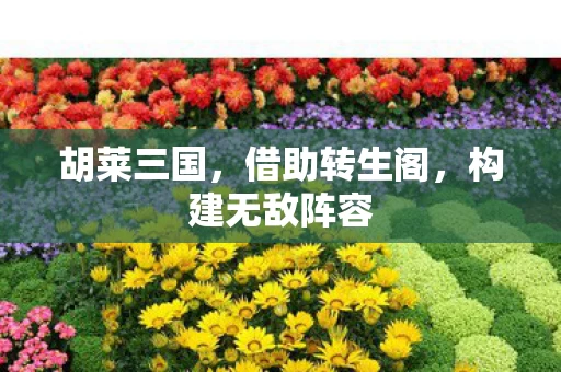 构建无敌阵容图片