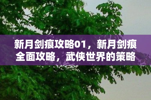 新月剑痕攻略01,新月剑痕全面攻略,武侠世界的策略冒险之旅 新月剑痕攻略01,新月剑痕全面攻略,武侠世界的策略冒险之旅