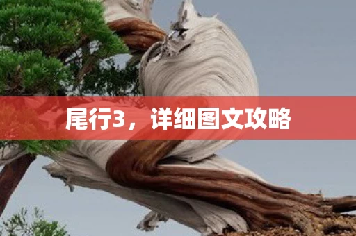详细图文攻略图片