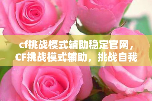 cf挑战模式辅助稳定官网，CF挑战模式辅助，挑战自我，成为无懈可击