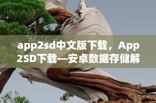 app2sd中文版下载,App2SD下载—安卓数据存储解决方案的新里程碑 app2sd中文版下载,App2SD下载—安卓数据存储解决方案的新里程碑