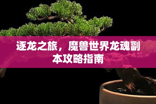 魔兽世界龙魂副本攻略指南图片