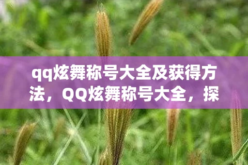 qq炫舞称号大全及获得方法，QQ炫舞称号大全，探索与荣耀的象征
