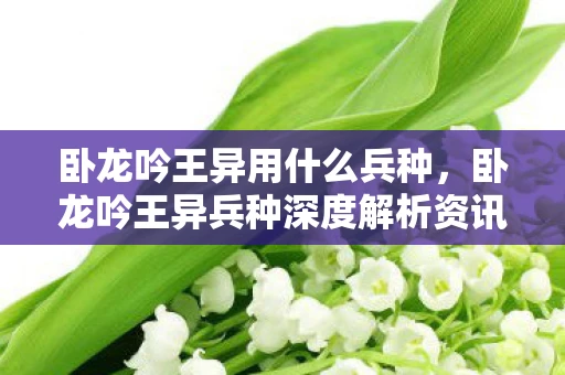 卧龙吟王异用什么兵种,卧龙吟王异兵种深度解析资讯频道 卧龙吟王异用什么兵种,卧龙吟王异兵种深度解析资讯频道