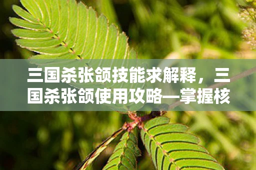 三国杀张颌技能求解释,三国杀张颌使用攻略—掌握核心技能,成为战场霸主! 三国杀张颌技能求解释,三国杀张颌使用攻略—掌握核心技能,成为战场霸主!