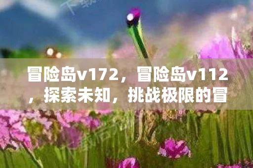 冒险岛v172，冒险岛v112，探索未知，挑战极限的冒险之旅