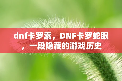 dnf卡罗索,DNF卡罗蛇眼,一段隐藏的游戏历史 dnf卡罗索,DNF卡罗蛇眼,一段隐藏的游戏历史