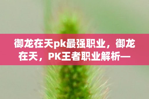御龙在天pk最强职业，御龙在天，PK王者职业解析—探寻最强PK职业