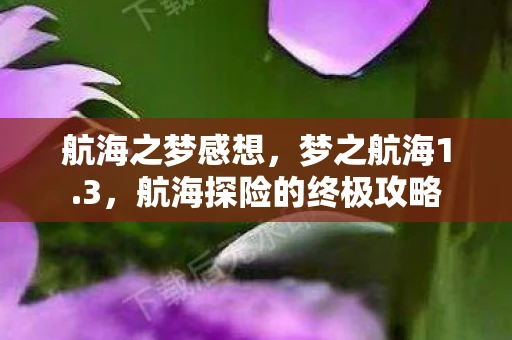 航海之梦感想,梦之航海1.3,航海探险的终极攻略 航海之梦感想,梦之航海1.3,航海探险的终极攻略