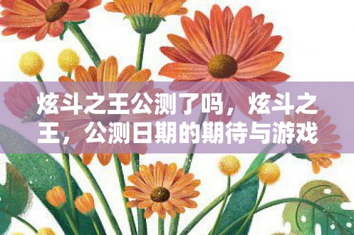 炫斗之王公测了吗，炫斗之王，公测日期的期待与游戏特色