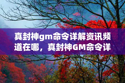 真封神gm命令详解资讯频道在哪，真封神GM命令详解资讯频道