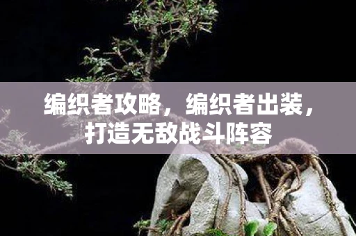 编织者攻略，编织者出装，打造无敌战斗阵容