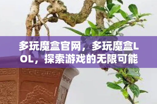 多玩魔盒官网，多玩魔盒LOL，探索游戏的无限可能