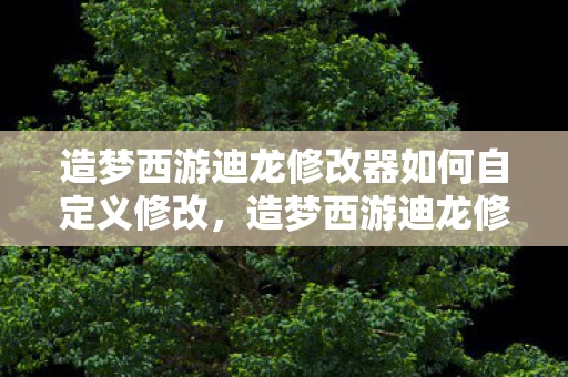 造梦西游迪龙修改器如何自定义修改，造梦西游迪龙修改器，游戏玩家的利器