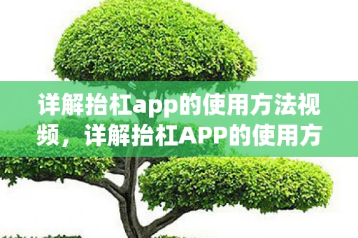 详解抬杠app的使用方法视频，详解抬杠APP的使用方法