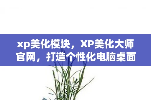 xp美化模块，XP美化大师官网，打造个性化电脑桌面的终极利器
